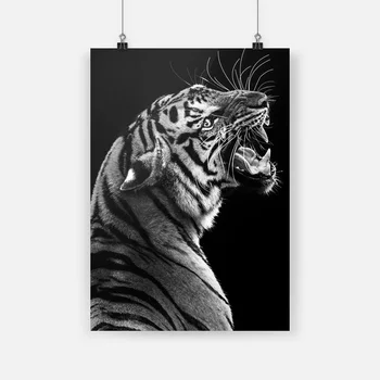 Črno Bel Živali Nordijska Plakat Jezen Tiger Živali Plakat Platno Stensko Slikarstvo Art Dekor Dnevna Soba, Spalnica Dekoracijo Doma